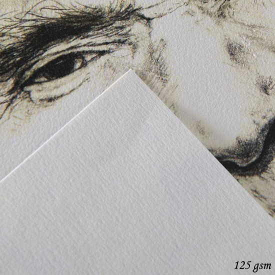 دفتر رسم كانسون 125 غم سلك Ca grain